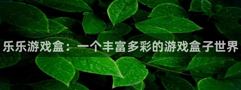 天美娱乐直属：乐乐游戏盒：一个丰富多彩的游戏盒子世界