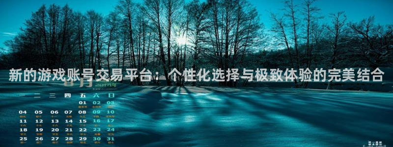 天美娱乐平台官网登录：新的游戏账号交易平台：个性化选择与极致