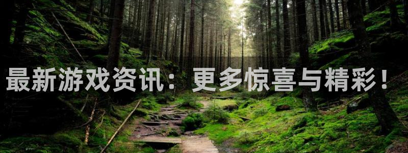 天美娱乐主管：最新游戏资讯：更多惊喜与精彩！
