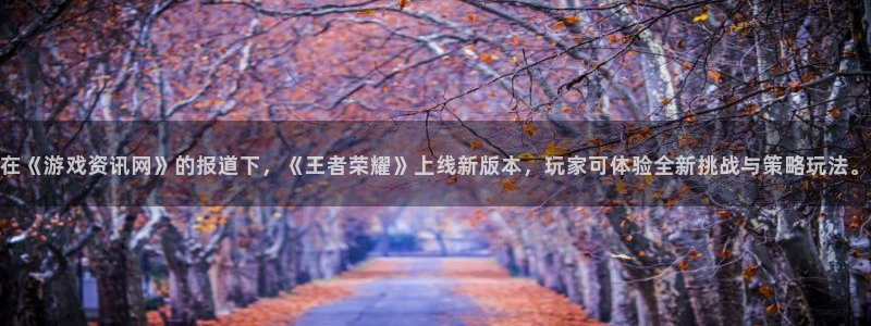 天美娱乐注册账号：在《游戏资讯网》的报道下，《王者荣耀》上线
