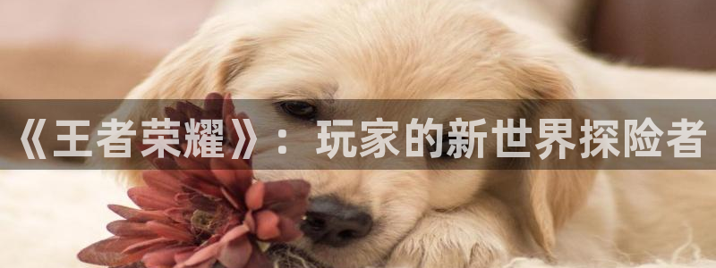 天美娱乐4主管：《王者荣耀》：玩家的新世界探险者