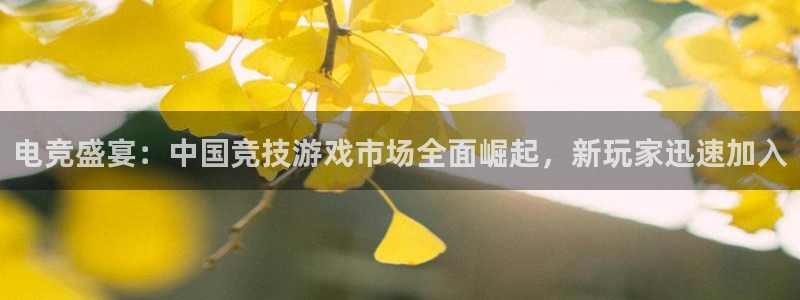 天美娱乐注册网站：电竞盛宴：中国竞技游戏市场全面崛起，新玩家