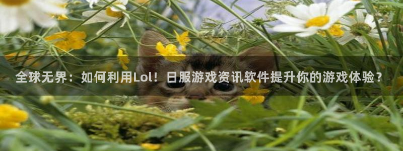 天美娱乐登陆测速：全球无界：如何利用Lol！日服游戏资讯软件