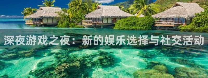 天美娱乐平台官网登录：深夜游戏之夜：新的娱乐选择与社交活动