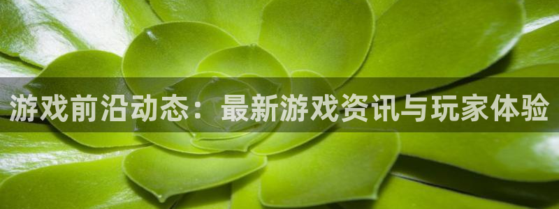 天美娱乐直属：游戏前沿动态：最新游戏资讯与玩家体验